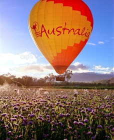 Celebrate The Chinese New Year Hot Air Balloon Fest In Cairns 1