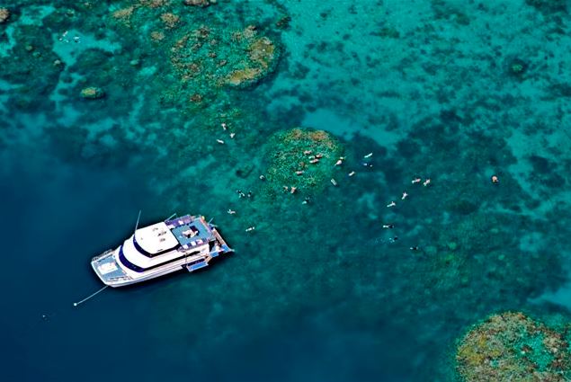 Great Barrier Reef Reef Experience Cairns Australia Day Tour Snorkel Scuba Trips