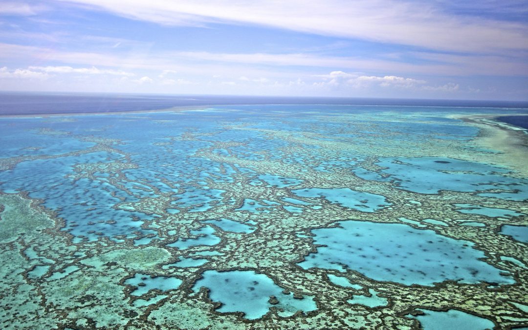 Great Barrier Reef
