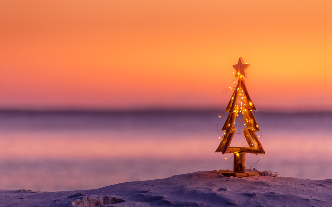 Coral Towers December 2023 Blog Photo From Canva