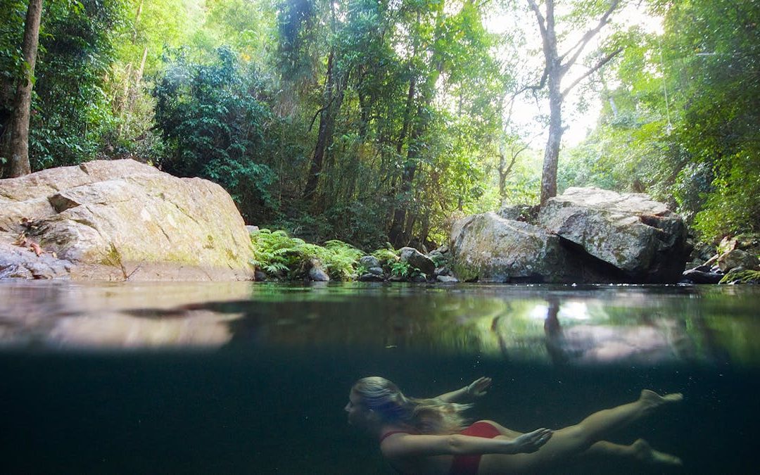 Free Things To Do In Cairns