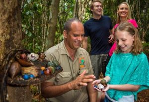 Things To Do In Cairns