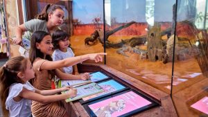 Best Things To Do In Cairns