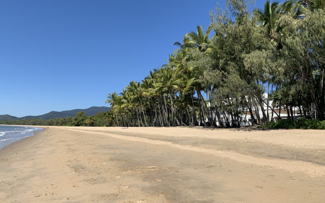 Cairns Northern Beaches Palm Cove Trinity Ellis