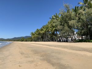 Cairns Northern Beaches Palm Cove Trinity Ellis